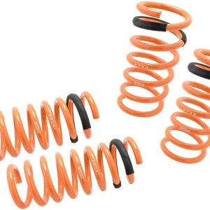 Megan Racing MR-LS-N3Z Coilover Lowering Spring