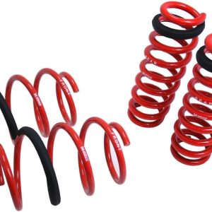 Megan Racing MR-LS-BF30 Coilover Lowering Spring