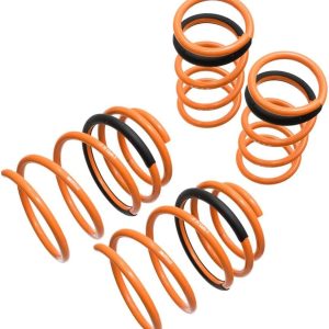 Megan Racing MR-LS-NA02 Coilover Lowering Spring