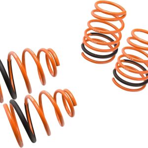 Megan Racing MR-LS-DN95 Coilover Lowering Spring