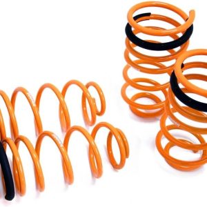 Megan Racing MR-LS-VW99 Coilover Lowering Spring
