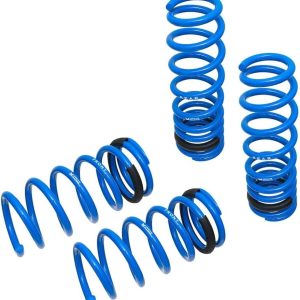 Megan Racing MR-LS-LI14 Coilover Lowering Spring