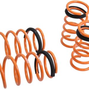 Megan Racing MR-LS-SFR12 Coilover Lowering Spring
