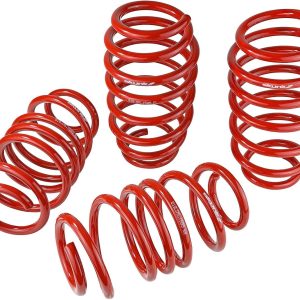 Skunk2 Racing 519-05-1585 Lowering Spring for 2012-2015 Honda Civic,regular