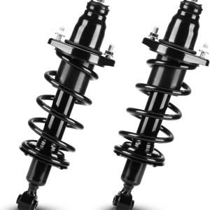 Rear Complete Struts Spring Assembly Shocks Absorbers for Honda Civic 2001 2002 2003 2004 2005 (Excludes 2.0L SI SIR Models), Replace 171340L 171340R, 2Pcs
