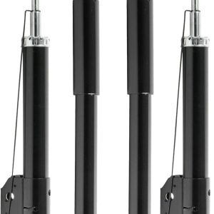 ‎EVERESTWAY Front Rear Assembly Pair Complete Strut 344433 71962 Compatible with 1994 1995 1996 1997 1998 1999 2000 2001 2002 2003 2004 Ford Mustang 3.8L 3.9L 4.6L Shock Coil Spring Assembly